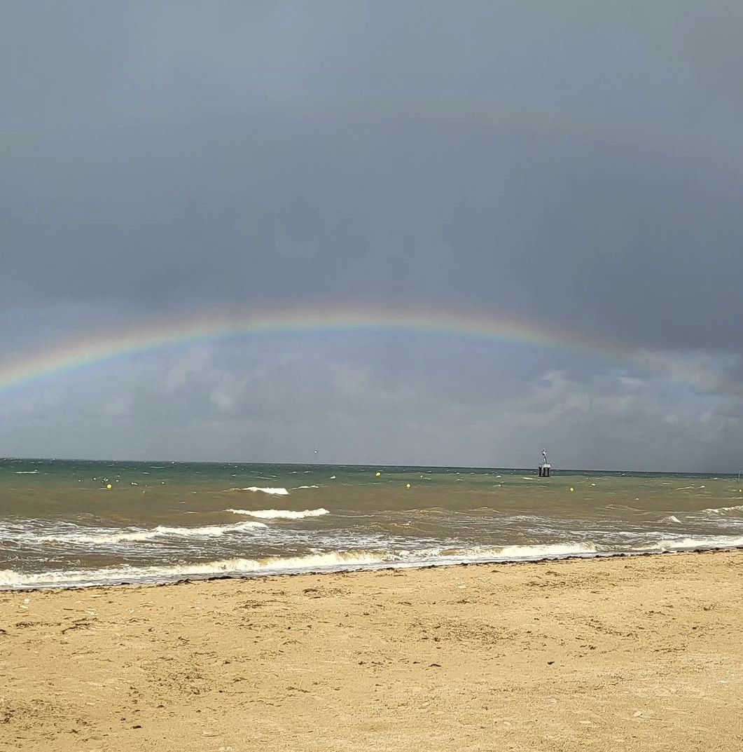 Normandy D-Day Beaches Tour & Packed Lunch from Le Havre